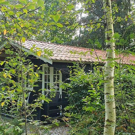 Villa Zizania Noord-Sleen Exterior foto